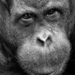 Profile photo of admin